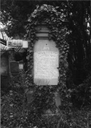 Grabstein 264 (Index: 100093425) Maße HxBxT: 214x70x36 cm: Grabstein 264