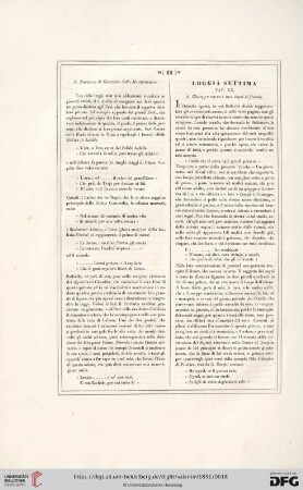 Loggia settima (Tav. XX - XXII)