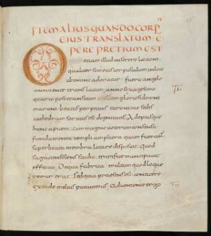 Goldinitiale O