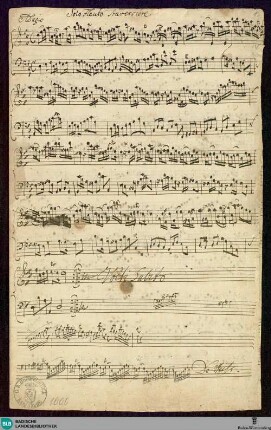 Sonatas - Mus. Hs. 1000 : fl, b; D