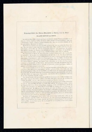 Magazingebäude des Herrn Hirschfeld, Berlin: Erläuterungstext (aus: Architektonisches Album, Bd. 1, H.1, hrsg.v. Stüler, Knoblauch, Salzenberg, Strack, Runge, Potsdam 1838)