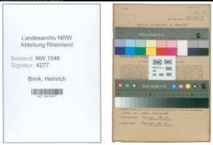 Entnazifizierung Heinrich Brink , geb. 20.11.1902 (Zimmermann)