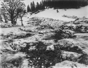 Lawine : Verschneiter Berghang mit einer Lawine