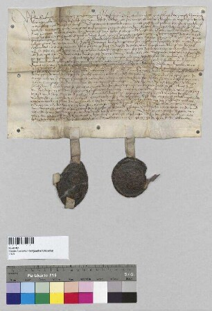 Sabina [Hauser], Äbtissin von Kloster Seligenthal, und der Konvent von Kloster Seligenthal verkaufen an Andreas Schweiger zu Staudach und seine Ehefrau Katherina das Erb- und Baurecht auf der Schwaige zu Staubach in der Pfarrei sannd Nicklas bei Landshut im Landgericht Rottenburg. S1: Sabina [Hauser], Äbtissin von Kloster Seligenthal, S2: der Konvent von Kloster Seligenthal