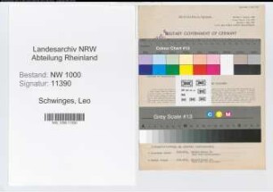 Entnazifizierung Leo Schwinges, geb. 06.12.1894 (Bilanzbuchhalter)
