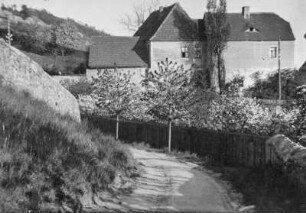 Coswig. Weg am Weingut Talkenberger Hof