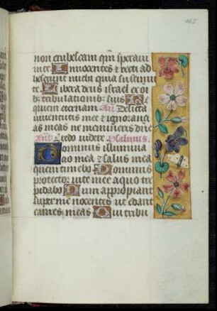 Trompe l'oeil-Randbordüre mit Blütenzweigen und Insekten, (Psalm 27) Zierinitiale: D(ominus illuminacio mea)