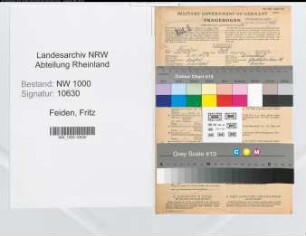 Entnazifizierung Fritz Feiden, geb. 08.11.1907 (Drucker)