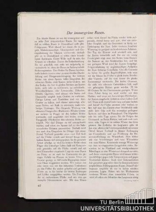 Der immergrüne Rasen.