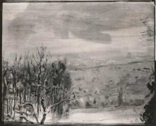 Winterlandschaft bei Neukastel