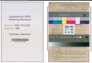 Entnazifizierung Hermann Tummes , geb. 11.03.1916 (Kaufm.Angest.)