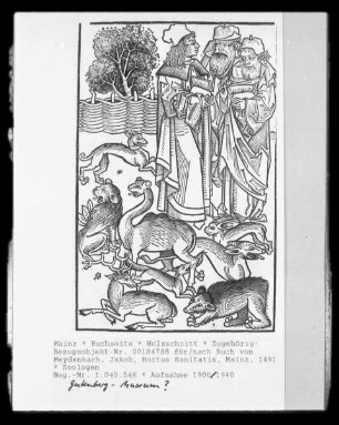 Hortus sanitatis — Zoologen mit Tieren