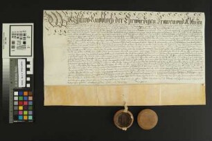 Heidesheim: Kaufbrief Heidesheim für Heinrich v. Stockheim