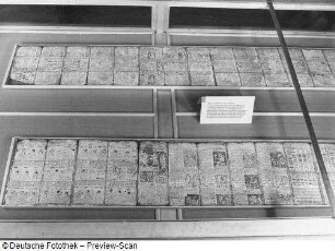 Maya-Handschrift (Codex Dresdensis) (Vitrine 25)