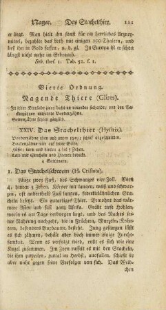 Vierte Ordnung. Nagende Thiere