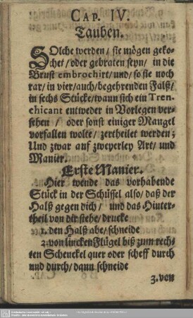 Cap. IV. Tauben