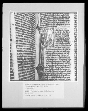 Lüneburger Bibel — Initiale P (aulus servus), darin die Enthauptung des Apostels