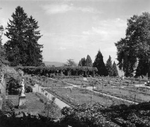 Mainau. Schloßpark (ab 1856). Rosengarten. Blick von der Bastion
