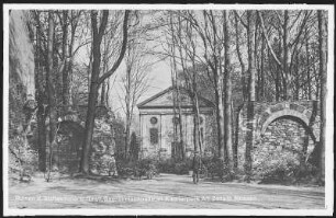 Altzella. Kloster, Ruine der Stiftskirche, Begräbniskapelle