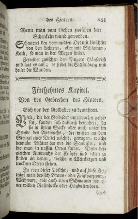 Fünfzehntes Kapitel. Von den Gebrechen des Hintern.