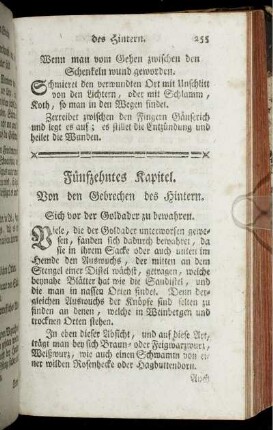 Fünfzehntes Kapitel. Von den Gebrechen des Hintern.