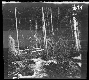Komaika-Stellung (=Kamaja/Kamoja, Gewässer in Litauen): "Wald hinter der Komaika-Stellung"