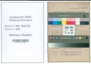 Entnazifizierung Elisabeth Nienhaus , geb. 03.10.1879 (Lehrerin)