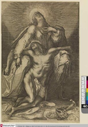[Pietà; Le Christ mort]