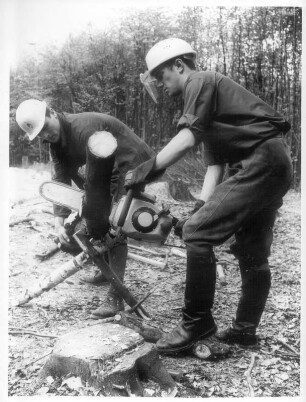 Arnsberg. Forstschule. Zur praktischen Ausbildung gehören Schneidübungen im Wald, hier das Einschneiden in Schichtholz