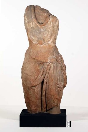 Torso