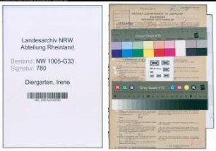 Entnazifizierung Irene Diergarten , geb. 02.08.1900 (Lehrerin)