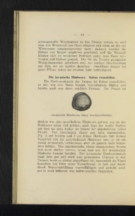 Javanische Himbeere, längs durchgeschnitten.