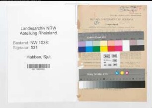 Entnazifizierung Sjut Habben , geb. 17.01.1890 (Beamter)