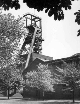 Steinkohlenbergwerk Bonifacius, Schacht 2, Essen-Kray