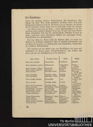 Die Nadelhölzer