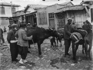 Viehmarkt : Szene auf dem Viehmarkt in Konya.