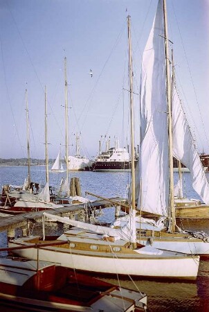 Saßnitz. Fährhafen mit Segelbooten, Fähre und Frachtschiff