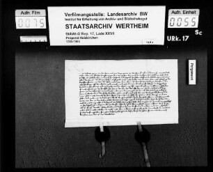 Johannes und Georg, Grafen zu Wertheim, versprechen Heinrich von Mömlingen bei seinem Leibgeding der 100 Malter Gült zu Remlingen zu schützen.