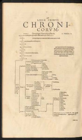 Liber Primus Chronicorum.