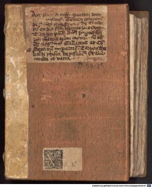 Rubricae, prologi, argumenta librorum bibliae - BSB Clm 19608