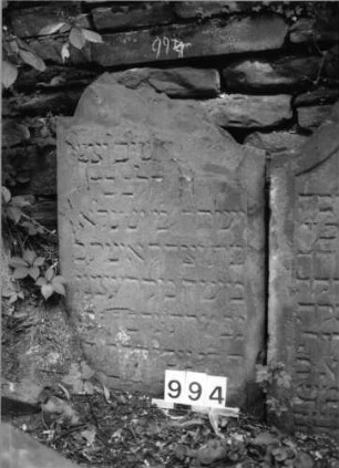 Grabstein 994 (Index: 99630497) Material: Sandstein Zustand: oben abgebrochen/Textverl/stark verwitt. Maße HxBxT: 93x60x4 cm Beschreibung: Stele mit eingezogenem Rundbogenabschluß: Grabstein 994