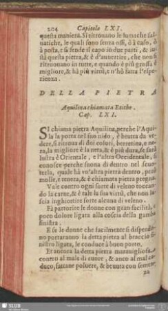 Cap. LXI. Della Pietra Aquilina chiamata Etithe
