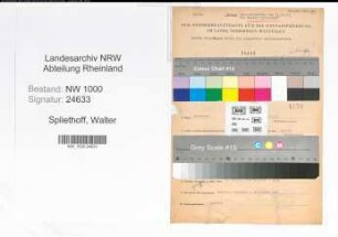 Entnazifizierung Walter Spliethoff, geb. 09.05.1907 (Kaufmann)