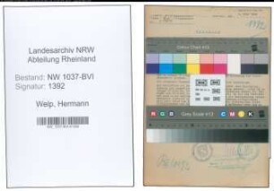 Entnazifizierung Hermann Welp , geb. 17.01.1899 (Musiklehrer)