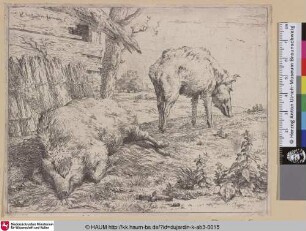 [The two Swine; Two Pigs; Les deux cochons; Zwei Schweine]