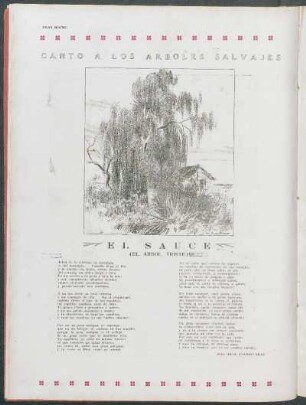Canto a los árboles salvajes : El sauce - (El árbol triste)