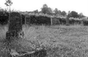 Jüdischer Friedhof (Friedhof, jüdischer); Frankenau, Am Knappe