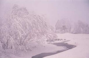 Winterlandschaft im Erzgebirge (Schneesturm, Nebel)