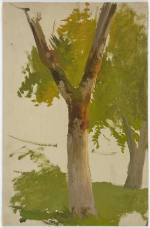 Baum