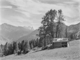 Hütte in den Dolomiten : Eine Berghütte mit Baum an einem Hang. Im Hintergrund die Dolomiten